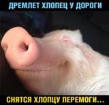 14338428647941