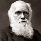 1735893483316