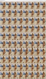 0glkftko2bit7rrip2f95_source.mp4_thumbs