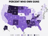 gun-ownership-245525004