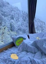snug pepe