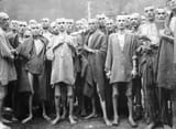 the-holocaust-1939-1945-v0-ff3clxra62bd1