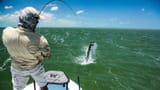 20180514-tarpon-fishing-1000.jpg.medium.800x800