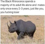 15972787781