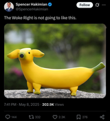 woke_right_nanner_doge