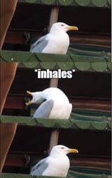 1626904377480