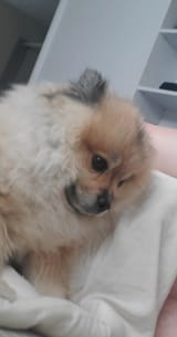 VideoCapture_20250527-111715