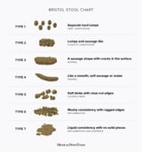 15970-bristol-stool-chart