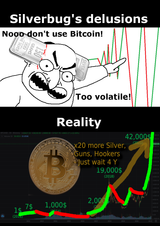bitcoin-delusions-reality2