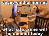 1727369505981778