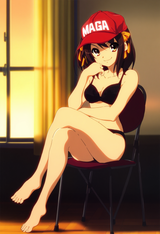 1girl, anime art, official art, suzumiya haruhi no yuuutsu, indoors, sunset, cha s-1042937739