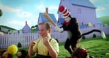 cat in the hat