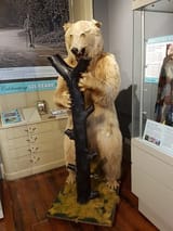 20180730-132518-largejpg-85832856