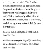 allah-forgives-prostitute-for-saving-an-animal-v0-olmt1aevv6tc1