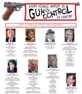 Every-Single-Aspect-of-Gun-Control-is-Jewish-1