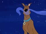 scoob