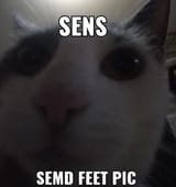 ea2ec40816f38c5f678359eaff1f437d