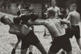 White Boxing