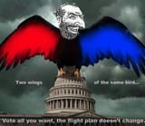 One ugly jewish bird