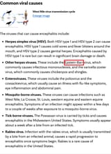 Screenshot 2025-07-14 at 10-24-54 Encephalitis - Symptoms and causes - Mayo Clinic
