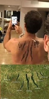 1603638070714
