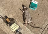 rough_night