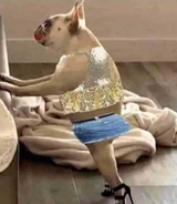 34658734657345