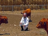 red-heifer-rabbi-small