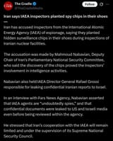 IAEA bug