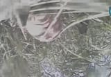 1752493702318961