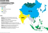 ASIAN DNA COMMONALITIES