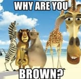 Why are you brown