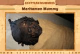 Meritamen-Mummy-Egypt-Tours-Portal (1)