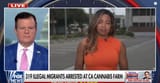 Screenshot 2025-07-13 at 18-09-36 HUNDREDS arrested in CA during major cannabis farm raid - YouTube