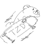 pigger skateboard tzd