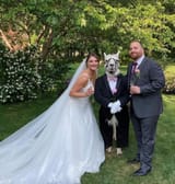 the wife&#039;s husband&#039;s boyfriend