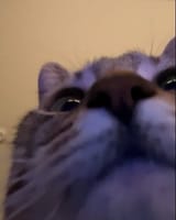 excuse me!!