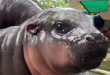 bitedoubt