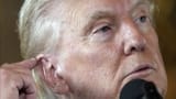trump ear