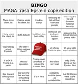 epstein-cope-bingo