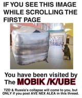 1732668644515343