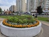 IMG_20250714_221352_815