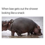 FB_IMG_1489770975306