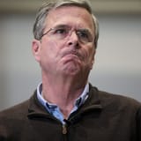 jebbush