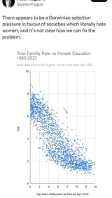feminism_effects