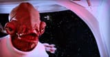 its-a-trap