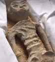 ayy lmao cake_thumb.jpg