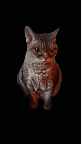 angry
