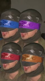 Zigger Turtles
