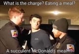 a succulent mcdonalds meal for luigi
